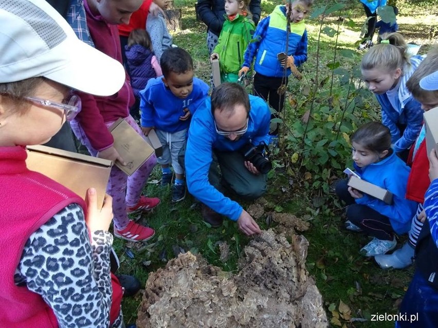 Półdziki skwer w Zielonkach pod lupą najmłodszych odkrywców przyrody