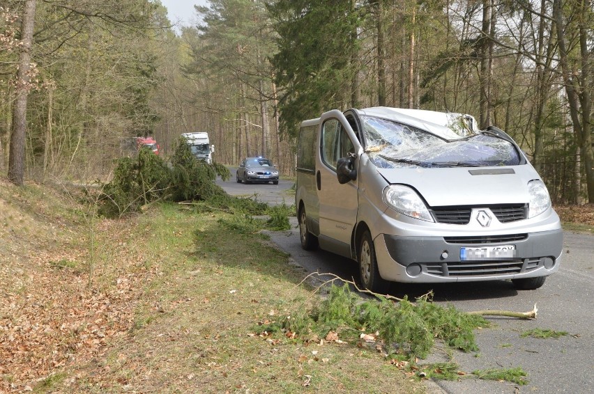 Wichura na Pomorzu 23.04.2019 . Między Przechlewem a...