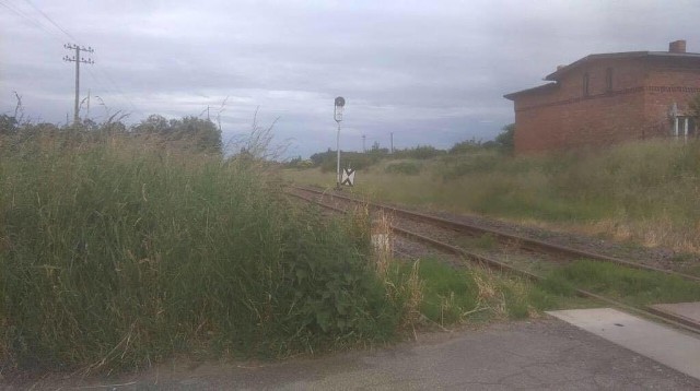 ak wyglądał przejazd w Raciniewie w sobotę. Czytelnik musiał wyjść z auta, by zobaczyć czy nie jedzie pociąg. Zrobił dla nas zdjęcie