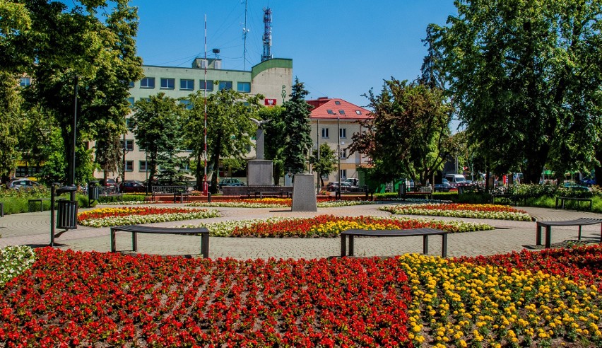 W poprzednich latach w Bielsku Podlaskim kolorowe kwiaty...