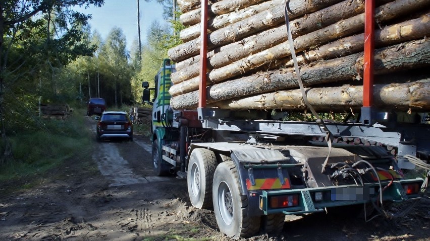 Zderzenie fiata z ciężarówką przewożącą kłody. Utrudnienia na drodze przed Niemczewem [ZDJĘCIA, WIDEO]