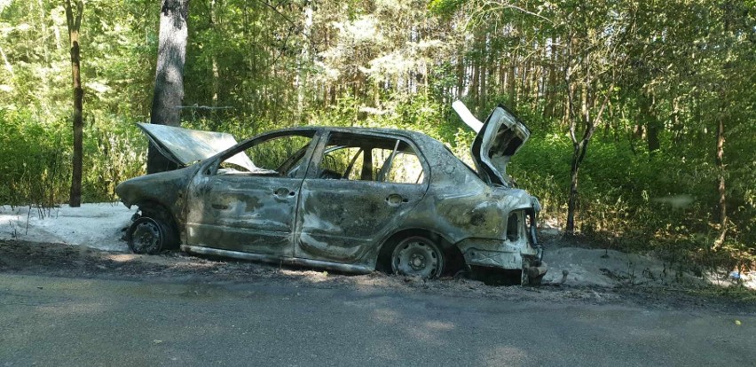 W gminie Osiek samochód uderzył w drzewo i zapalił się