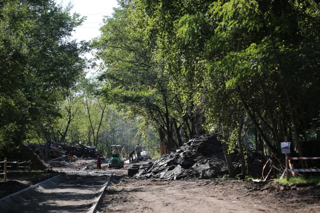 W ramach WBO realizowany jest właśnie park na Żernikach