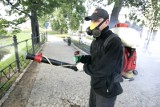 Zachód Wrocławia na razie bezbronny w walce z komarami