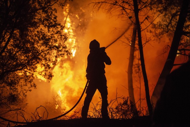 W czwartek strażacy z Portugalii i Hiszpanii połączyli siły w walce z żywiołem