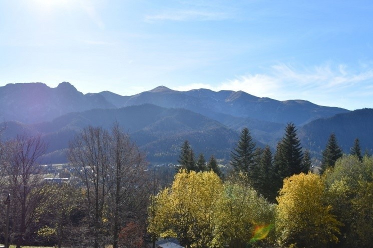 Tatry. Wojsko oferuje w Kościelisku nieruchomość z pięknym widokiem i potencjałem 25.03.2023