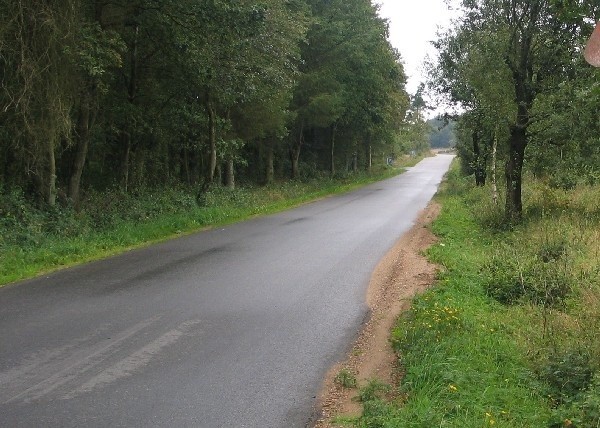 Śródleśne drogi to doskonały skrót do wielu miejscowości. Niestety, niewiele z takich dróg jest w zadowalającym stanie.