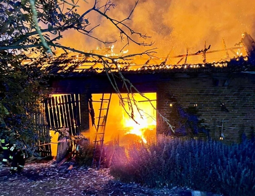 Dwa konie zginęły w pożarze stodoły we wsi koło Bełchatowa....