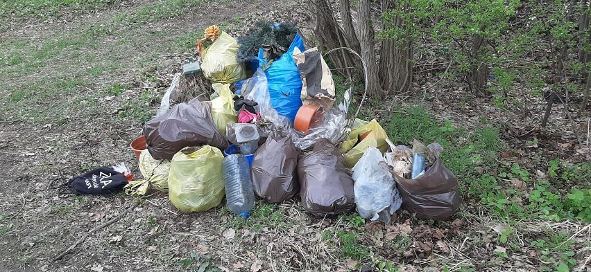 Kolejna akcja "Solidarne sprzątanie" w Suchedniowie. Znów zebrano dużo śmieci - 45 worków i...metalowy krzyż [ZDJĘCIA]
