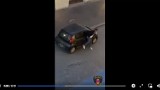 Kraków. Pijany kopał auto, ale dał się nagrać. Będzie miał kłopoty [FILM]                                        