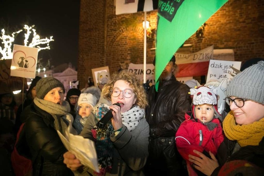 Kraków. "Dziki" na Rynku Głównym? To protest przeciwko masowym polowaniom [ZDJĘCIA]