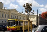 Wyschnięte klony przy Krakowskim Przedmieściu odstraszają