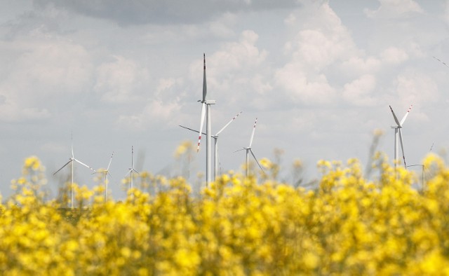 22.05.2016 kosina wiatraki farma wiatrowa energia alternatywna zielony prad fot krzysztof kapica