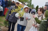 Festyn recyklingowy 2019 w Wojsławicach [zdjęcia i film]
