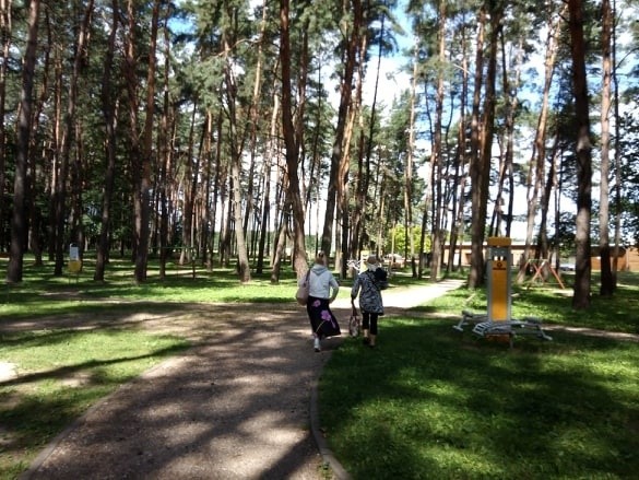 Kąpielisko na plaży w Dojlidach zamknięte. W wodzie wykryto...