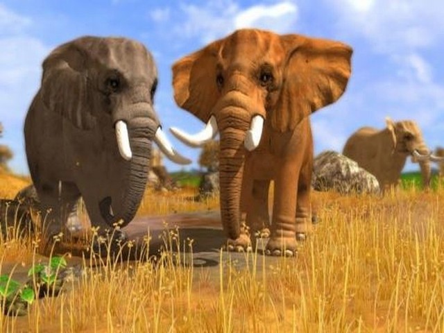 Słonie to jedne z 35 garunków zwierząt, jakimi można opiekować się w grze "Wildlife Park 3: Świat dzikich zwierząt".