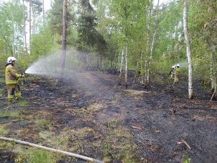 W Podlesiu w powiecie buskim spłonęły dwa hektary poszycia lasu