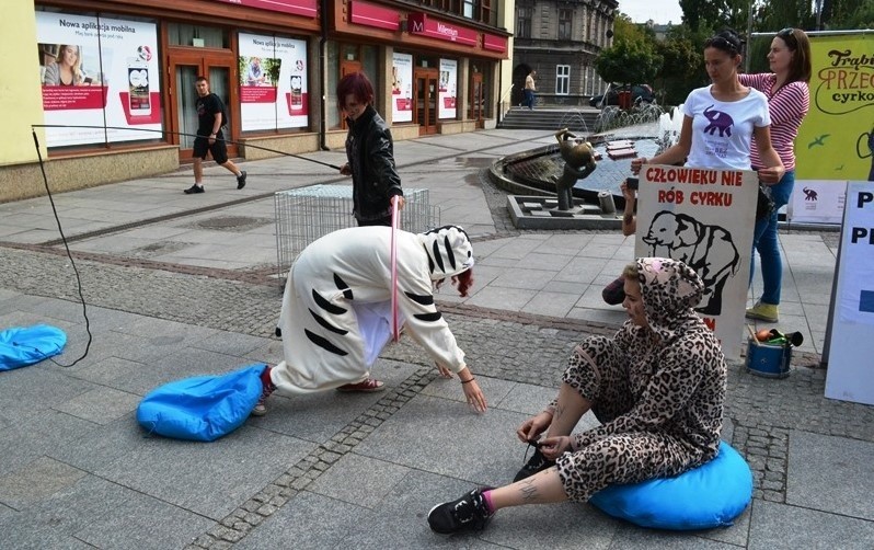 Akcja "Cyrk BEZ Zwierząt" w Bielsku-Białej