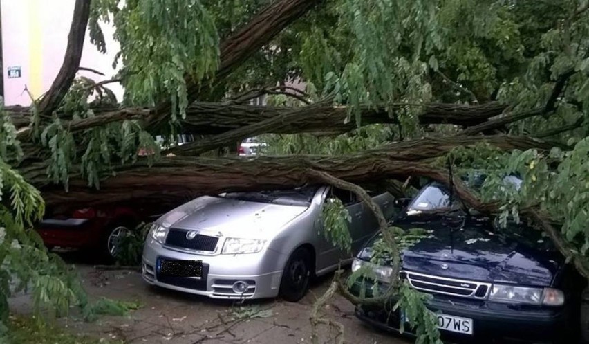 Burze na Śląsku i w Zagłębiu: kilka tysięcy osób bez prądu, powalone drzewa, uszkodzone dachy ZDJĘCIA
