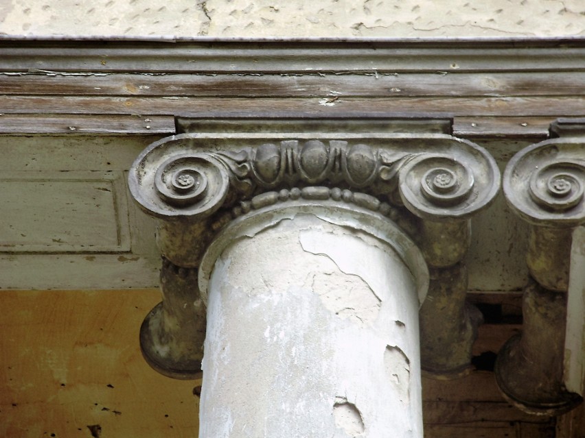Jedna z kolumn portalu pałacu w Nawrze