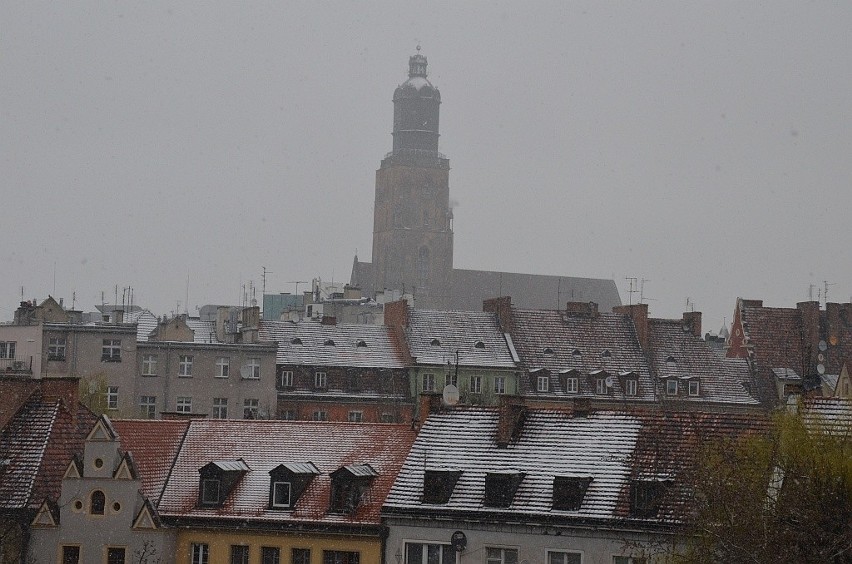 Śnieżyca we Wrocławiu. Atak zimy w mieście (FILM, ZDJĘCIA, PROGNOZA)