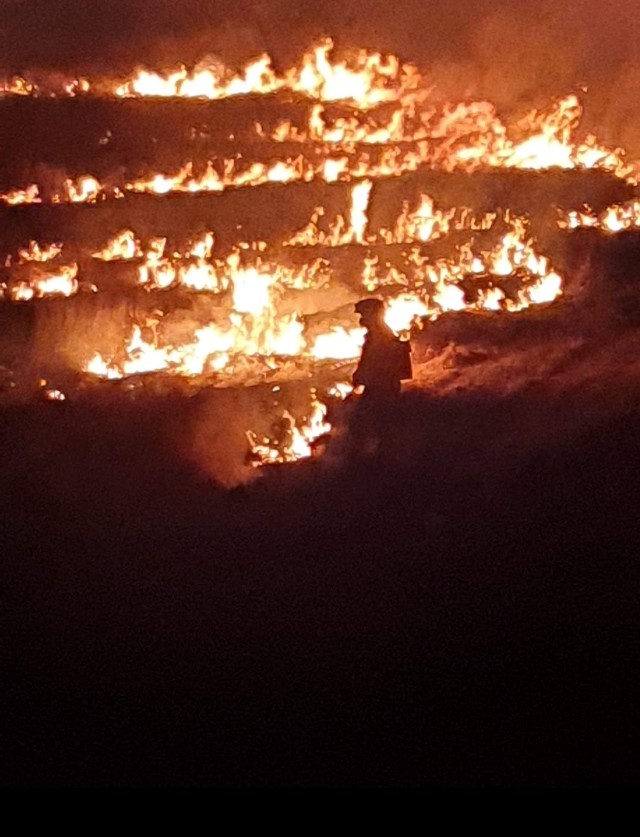 Plaga pożarów traw i nieużytków w powiatach bocheńskim i brzeskim