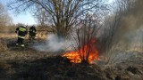 Kraków: pożar na łąkach na Ruczaju [ZDJĘCIA]