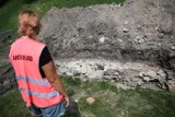 Instytut Archeologii UMCS badał wykopaliska w Trójcy. Zabytki trafią do Muzeum Zamkowego w Sandomierzu