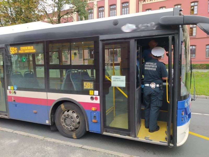 Wielka kontrola autobusów i badanie trzeźwości w Bydgoszczy, Toruniu i Włocławku