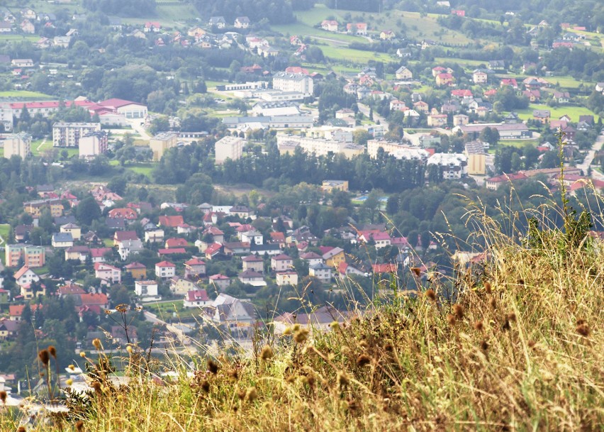 Odkryj Beskid Wyspowy. 53 złote rysie na Miejskiej Górze. W niedzielę szczyt zdobyło ponad 700 turystów