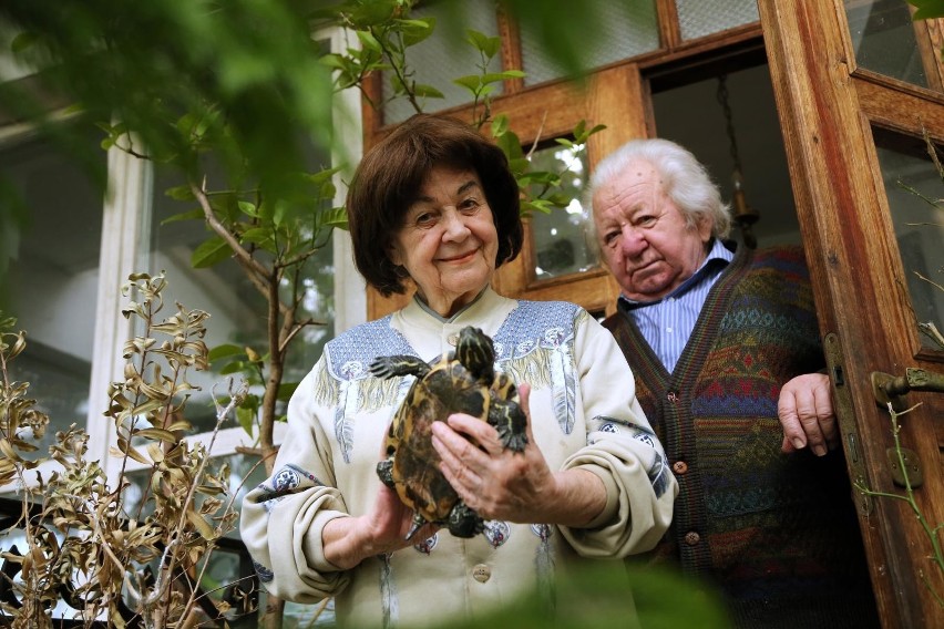 Antoni i Hanna Gucwińscy przez dekady byli symbolem...