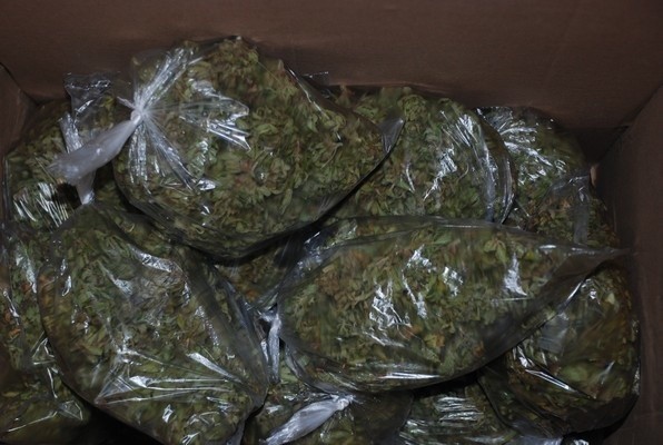 Policjanci znaleźli 6 kg marihuany.