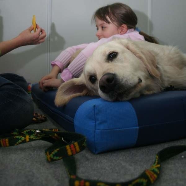 Dziecko czujące bliskość psa chętniej wykonuje skomplikowane ćwiczenia.