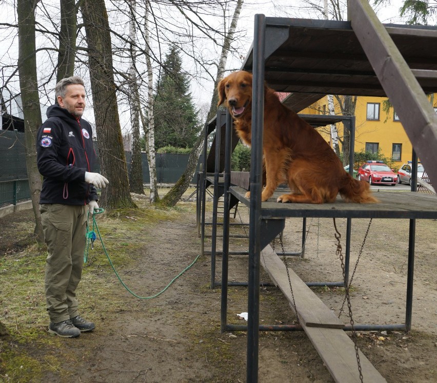 Nowy Sącz. Pokazowe szkolenie psów ratowniczych. Musiały odszukać człowieka uwięzionego pod gruzem [ZDJĘCIA]