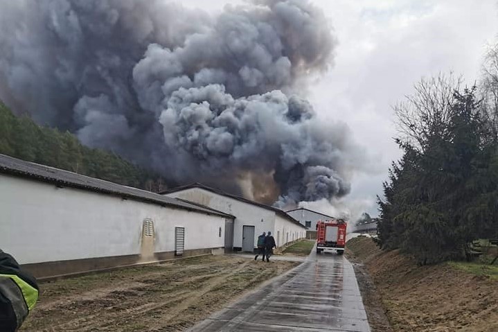 Pożar kurnika w miejscowości Darnowo [ZDJĘCIA, WIDEO]