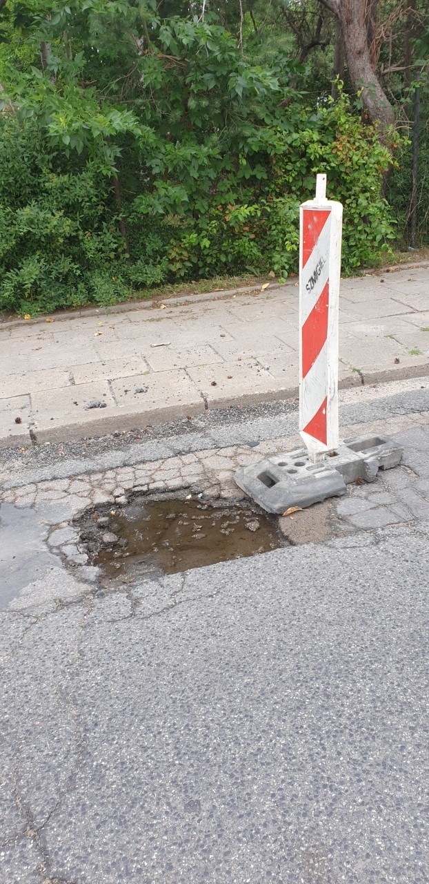 Zamiast załatać dziury - stawiają pachołki. Na ulicy Paradnej niczym na slalomowym stoku