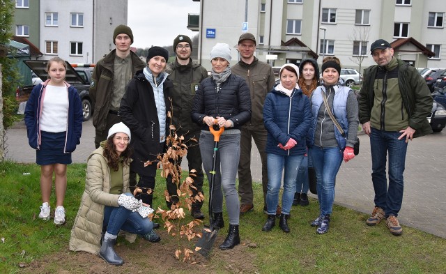 W akcję sadzenia drzew w Golubiu-Dobrzyniu organizowaną przez Nadleśnictwo, Wspólnotę Mieszkaniowa i społeczników włączyli się mieszkańcy osiedla przy ulicy Brodnickiej