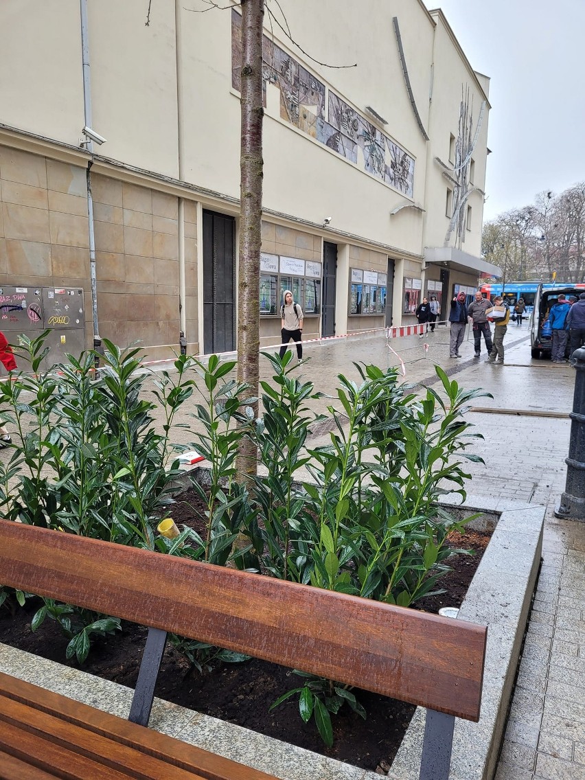 Kraków. Krupnicza się zazielenia. Na przebudowywanej ulicy pojawiły się ławki, rozbłysły nowe latarnie