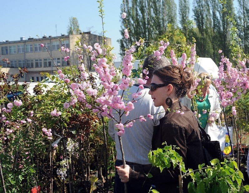 Giełda ogrodników i pszczelarzy w halach centrum wystawienniczego Międzynarodowych Targów Szczecińskich 