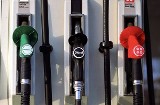 Ceny paliw na stacjach w Polsce poszły w górę. Gdzie tankować, aby zapłacić jak najmniej?