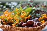 Poznaj dzikie owoce, które są idealne na lecznicze nalewki. Te właściwości sprawiają, że warto zbierać rokitnik, dereń, głóg czy tarninę!