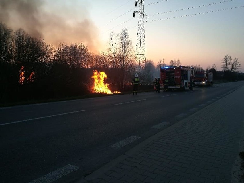 W marcu w powiecie staszowskim strażacy zmagali się z aż 61...