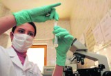 In vitro w Sosnowcu: Cztery kliniki będą leczyć niepłodność 