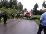 Drzewo zatarasowało drogę w Kielanówce. Zdjęcie i film Internauty