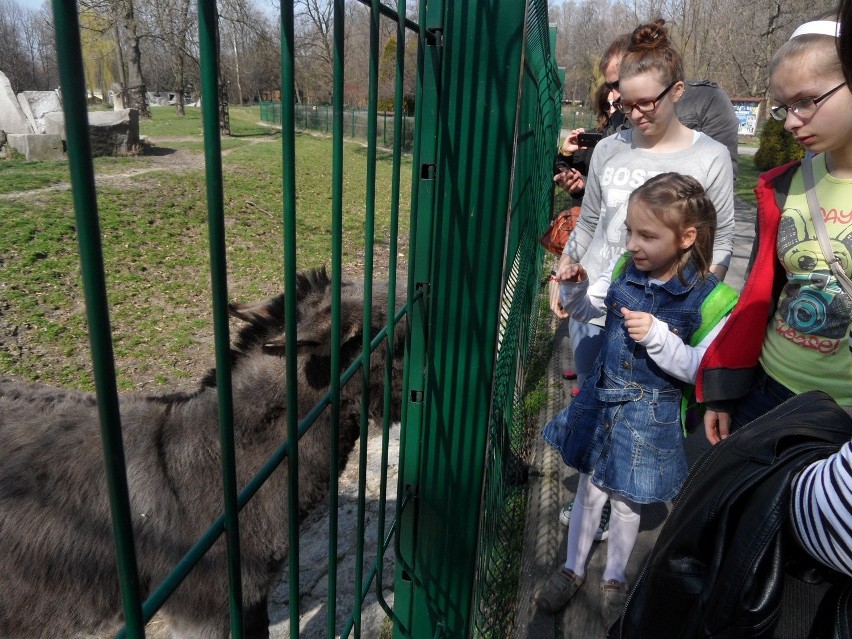 60-lecie Centrum Materiałów Polimerowych i Węglowych Polskiej Akademii Nauk w Zabrzu [ZDJĘCIA]