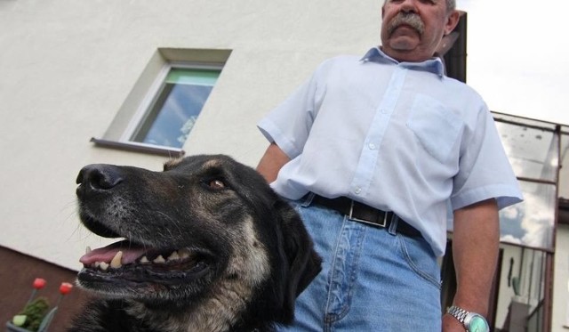 Regulamin Porządku Domowego wyraźnie mówi, że „W lokalach dopuszcza się posiadanie zwierząt domowych, o ile nie powoduje to zagrożenia dla życia lub zdrowia ludzi oraz zakłócania spokoju mieszkańców".