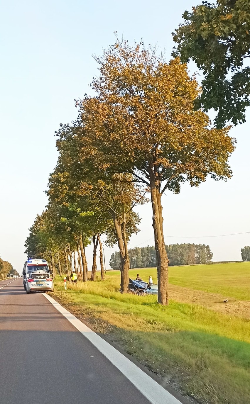 Wypadek na DK 8. BMW wbiło się w drzewo (zdjęcia)