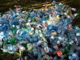 Ile plastikowych butelek zużywają dziennie łodzianie? Wymień PET na bidon - apelują ekolodzy