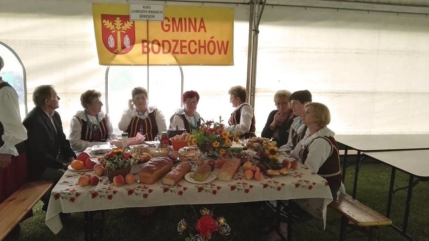 Święto Chleba w Jacentowie. Zobacz zdjęcia