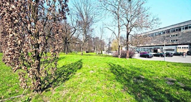 Obecny Park im. Tadeusza Kościuszki. W latach 1819 - 1926 pochowano tutaj około 20 tys. osób